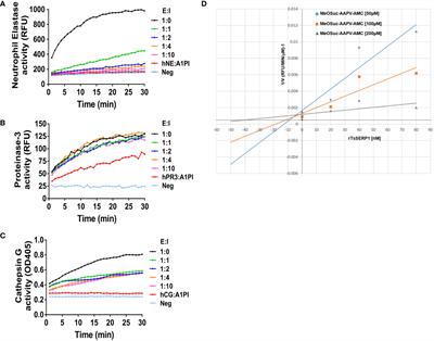 Serine protease inhibitor derived from Trichinella spiralis (TsSERP) inhibits neutrophil elastase and impairs human neutrophil functions